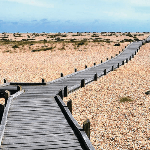 A boardwalk leads into the distance surrounded by shingle.