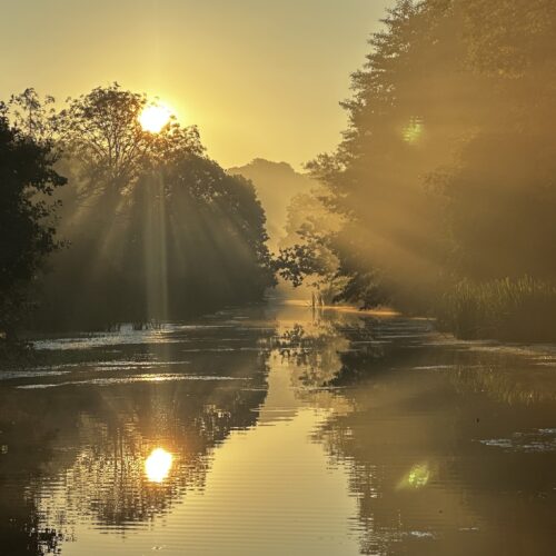 Golden rays of sun illuminate the water of the Royal Military Canal in Hythe