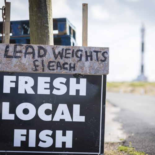 A sign by the road in Dungeness saying 'Fresh local fish'