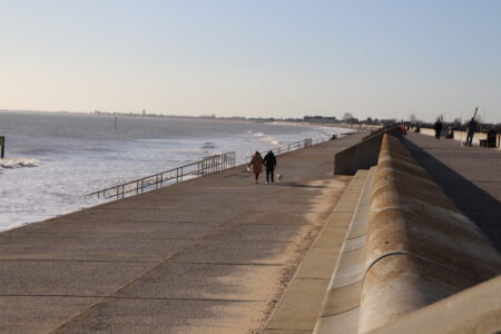 People walking a dog along a promenade by the sea