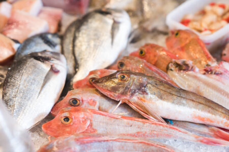 Dead fish lay together red and silver